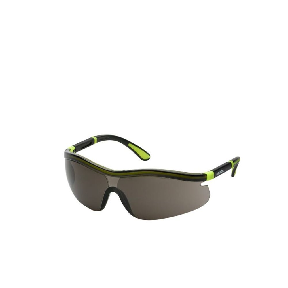 Schutzbrille "Neon" getönt Schutzbrille "Neon" getönt